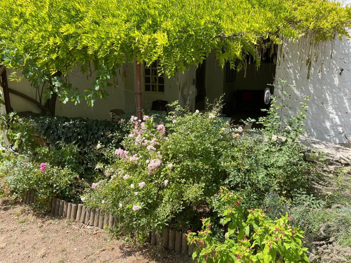 L'Ancienne Raffinerie De Tabac Villa Dernacueillette Buitenkant foto
